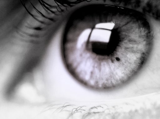 Pa vidio sam svojim očima