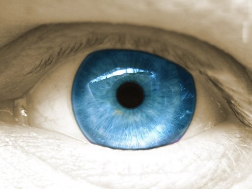 Psihologija svjedočenja