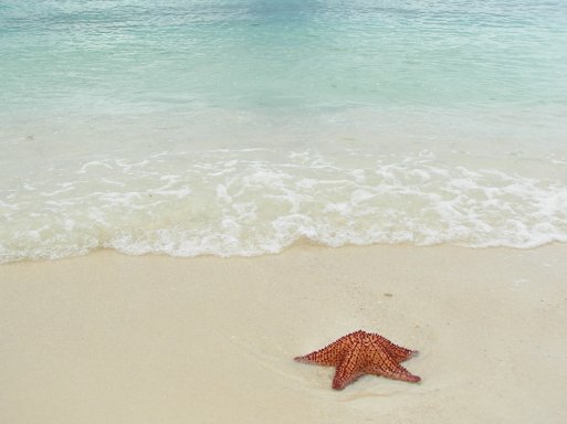 Zašto biste uopće postavljali ciljeve?