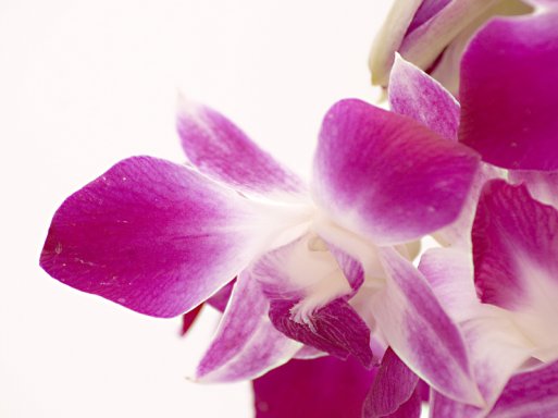 Samopoštovanje i svakodnevni život